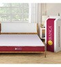 Orthopedic 4 Inches Memory Foam Queen Size Mattresses