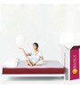 Orthopedic 6 Inches Memory Foam Queen Size Mattresses Orthopedic 6 Inches Memory Foam Queen Size Mattresses