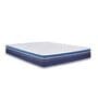 Orthoresto Backpro  8 Inches Rebonded Foam King Size Mattress