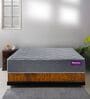 Orthoresto Spinerest Classic 6 Inches Rebonded Foam Queen Size Mattress