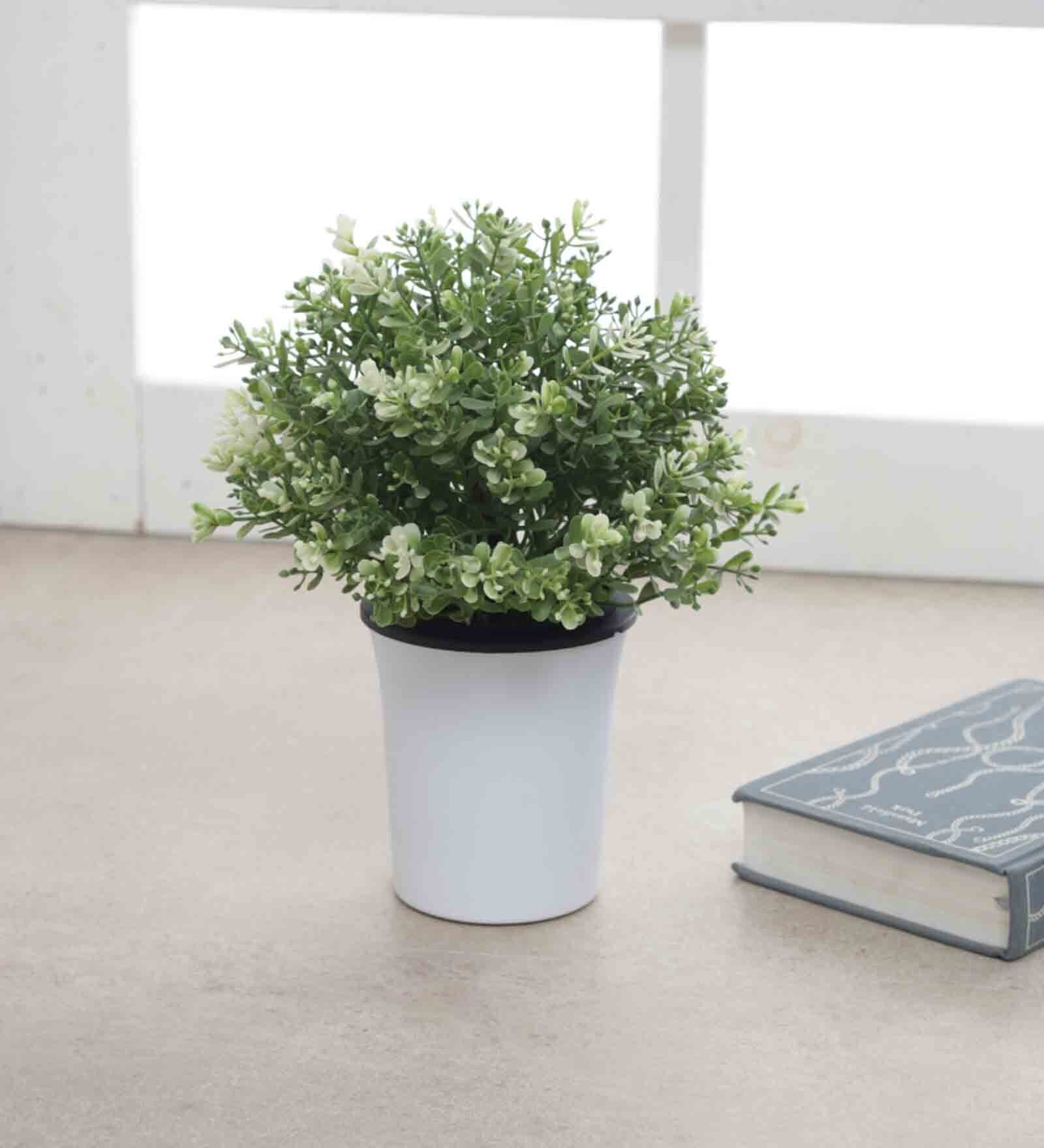 Plastic White Desk Pots