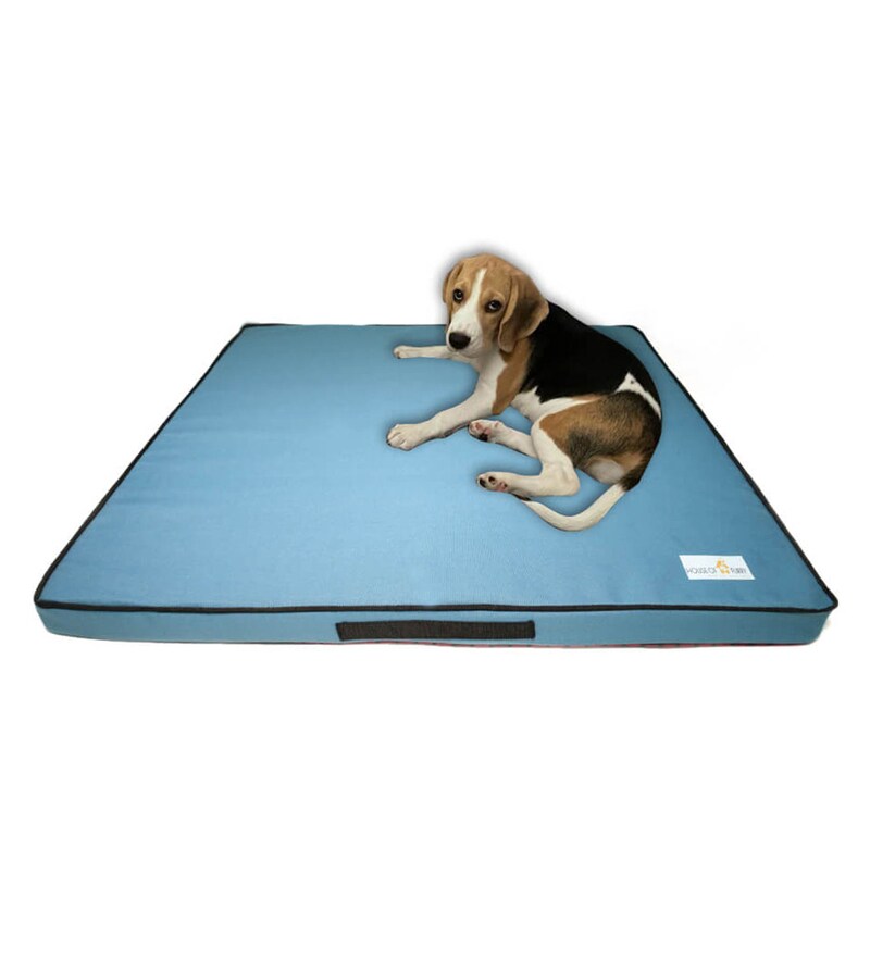 Buy Oscar Orthopedic Pet Bed 100 Linen Large by House of Furry Online Dog Beds Dog Beds