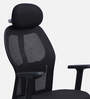 Nagisa Ergonomic Chair With Adjustable Handle, Lumbar Support And Neck Rest In Black Colour