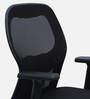Yuzuki Ergonomic Chair With Adjustable Handle And  Lumbar Support In Black Colour