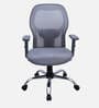 Yuzuki Ergonomic Chair With Adjustable Handle And  Lumbar Support In Grey Colour