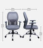 Yuzuki Ergonomic Chair With Adjustable Handle And  Lumbar Support In Grey Colour