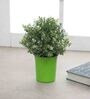 Plastic Green Desk Pots
