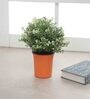 Plastic Orange Desk Pot