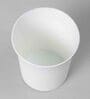 Plastic White Desk Pots