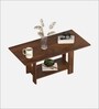 Osnale Coffee table In Brown Maple Colour