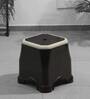 Otter Plastic Seating Stool in Brown & Beige Colour