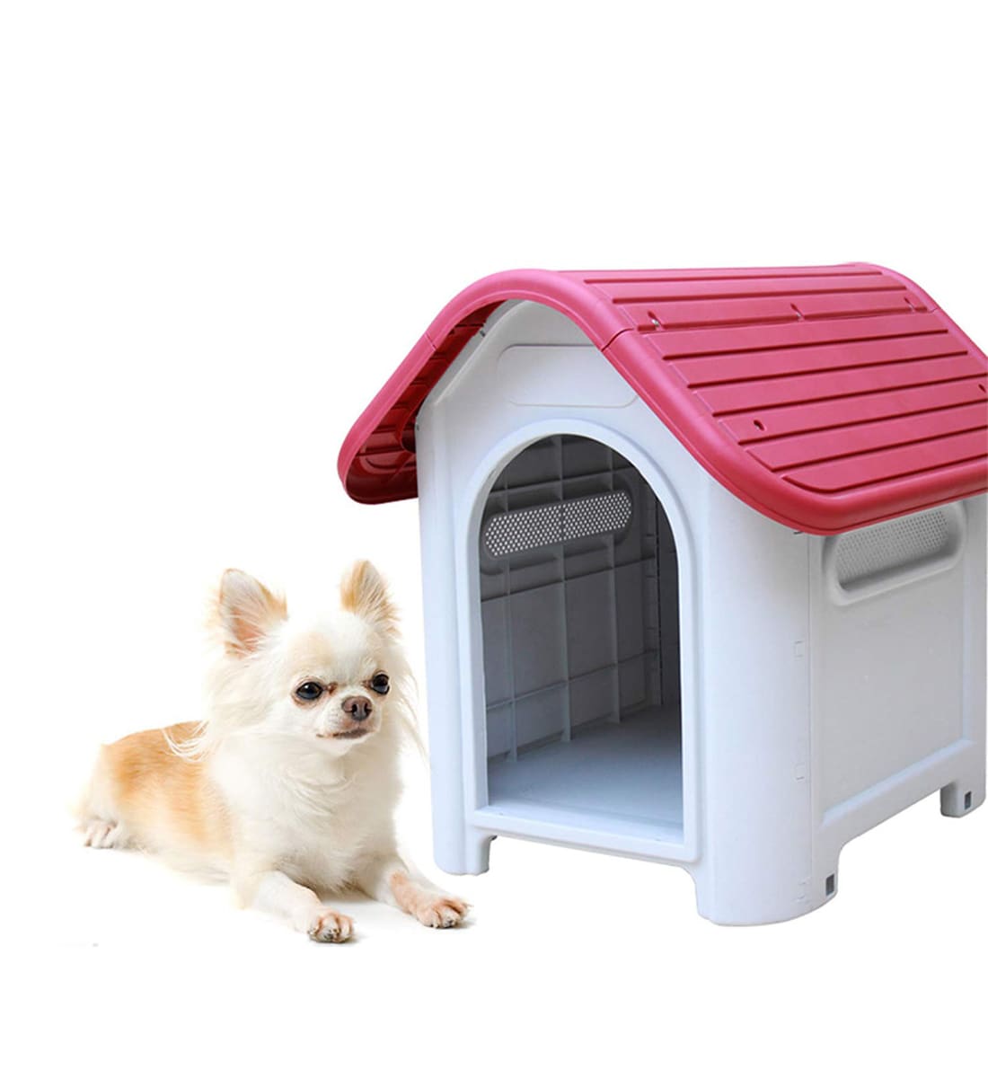 what is needed to house a dog