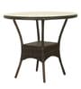 Outdoor Wicker Table and Chair Set in Dark Brown Finish