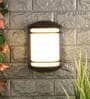 Lunar Black Metal Outdoor Wall Light