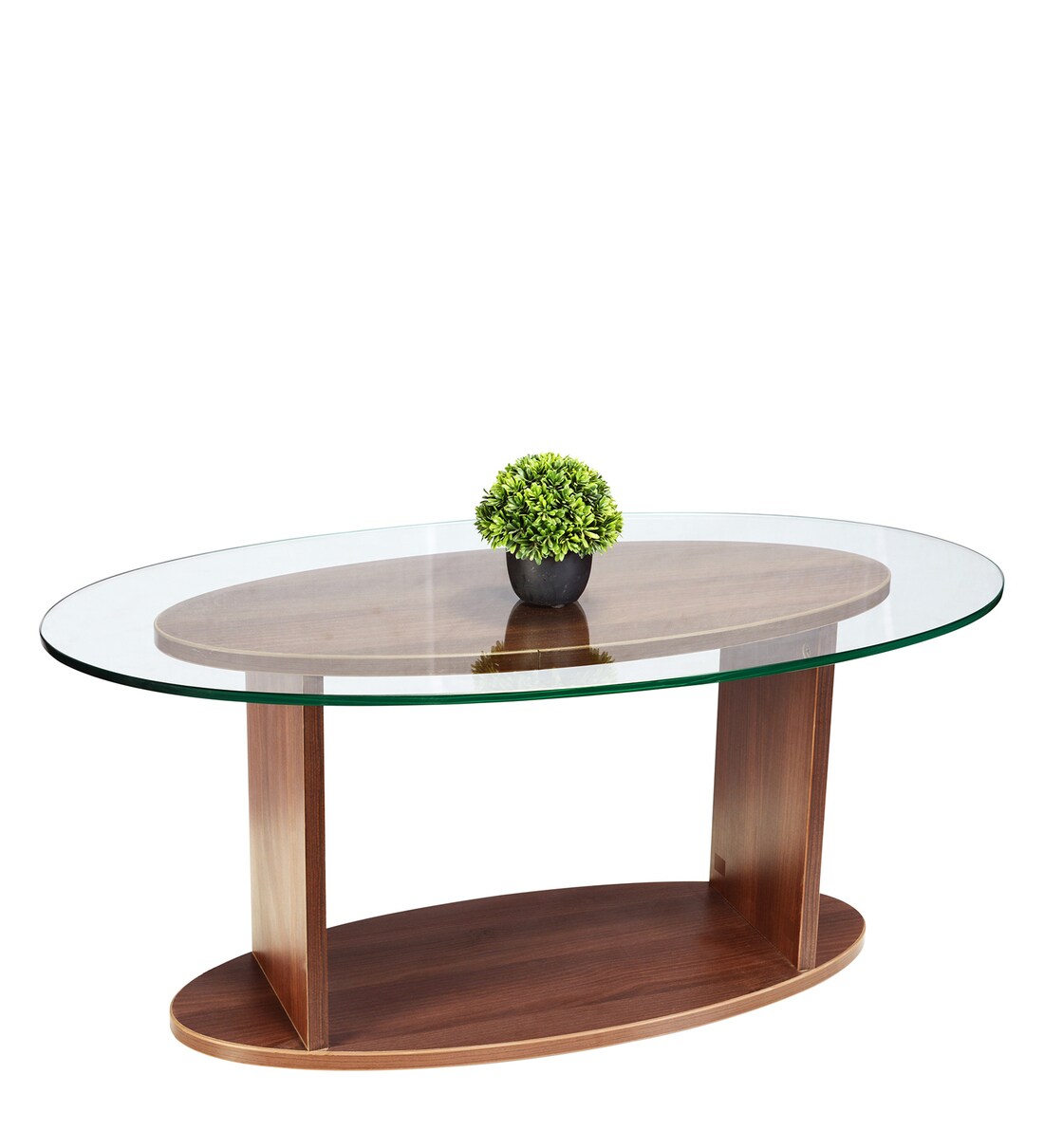 Buy Oval Shaped Glass Top Coffee Table in Walnut Finish by Addy Design