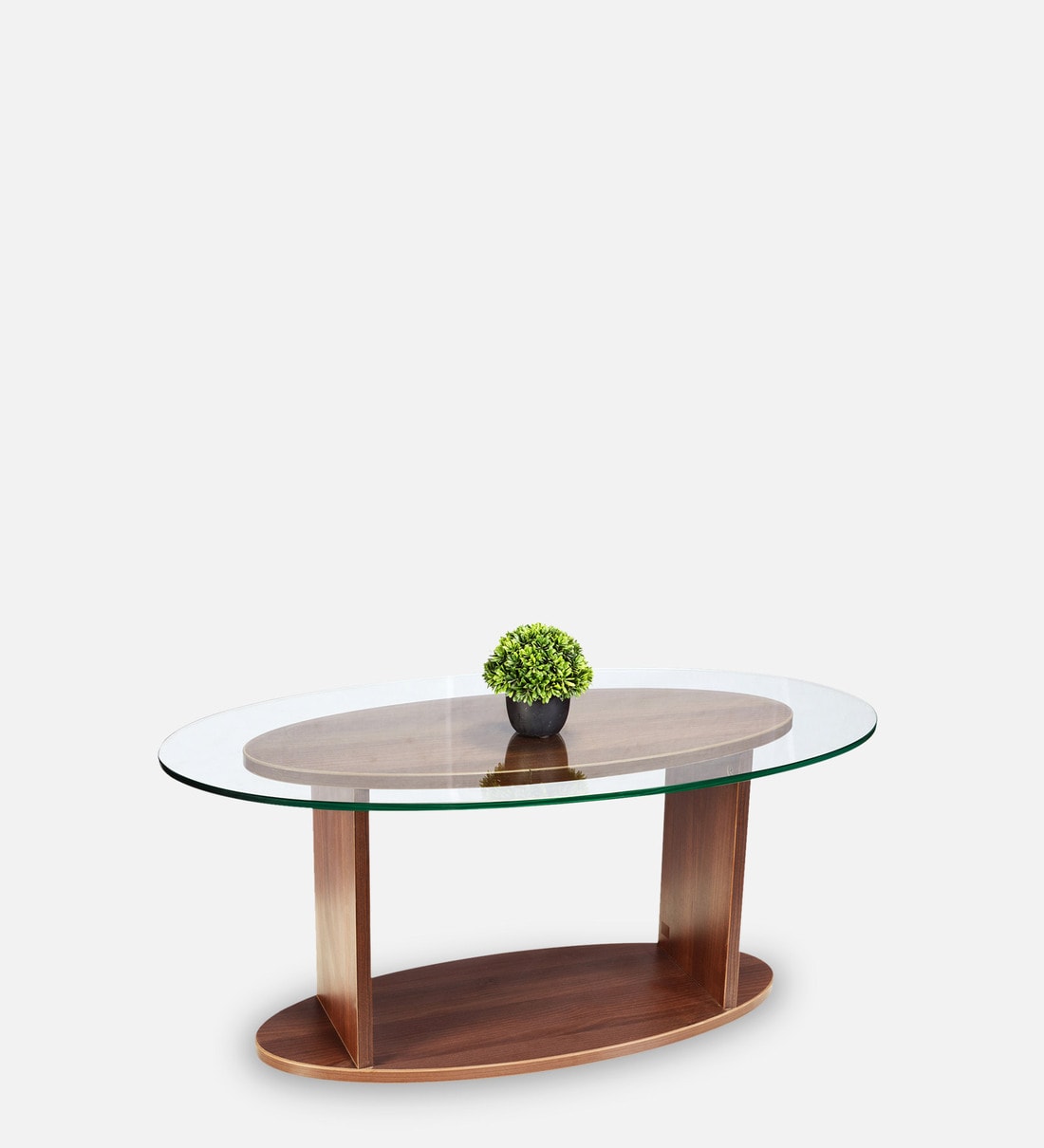 oval shape glass coffee table