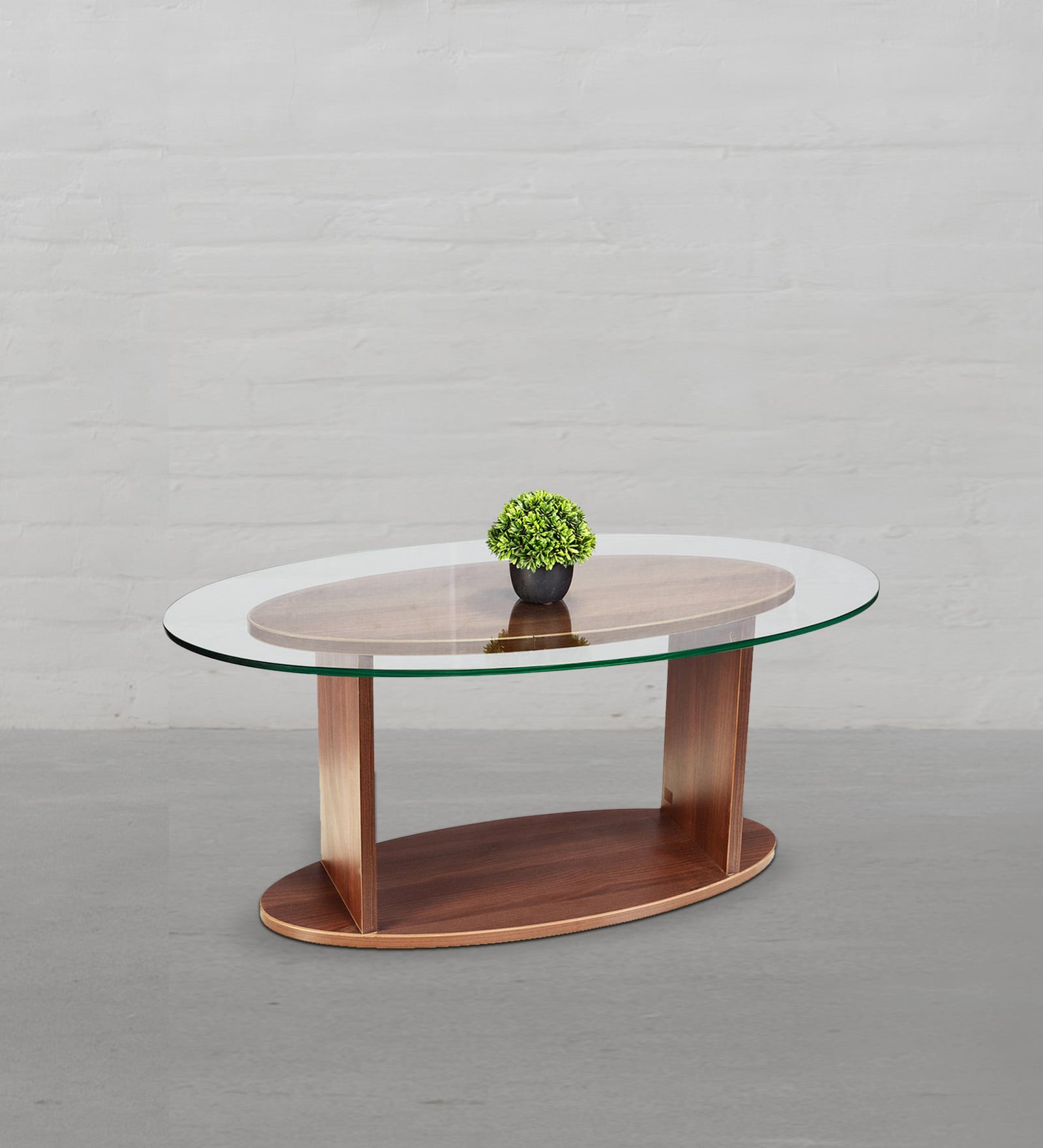 Buy Oval Shaped Glass Top Coffee Table in Walnut Finish by Addy Design