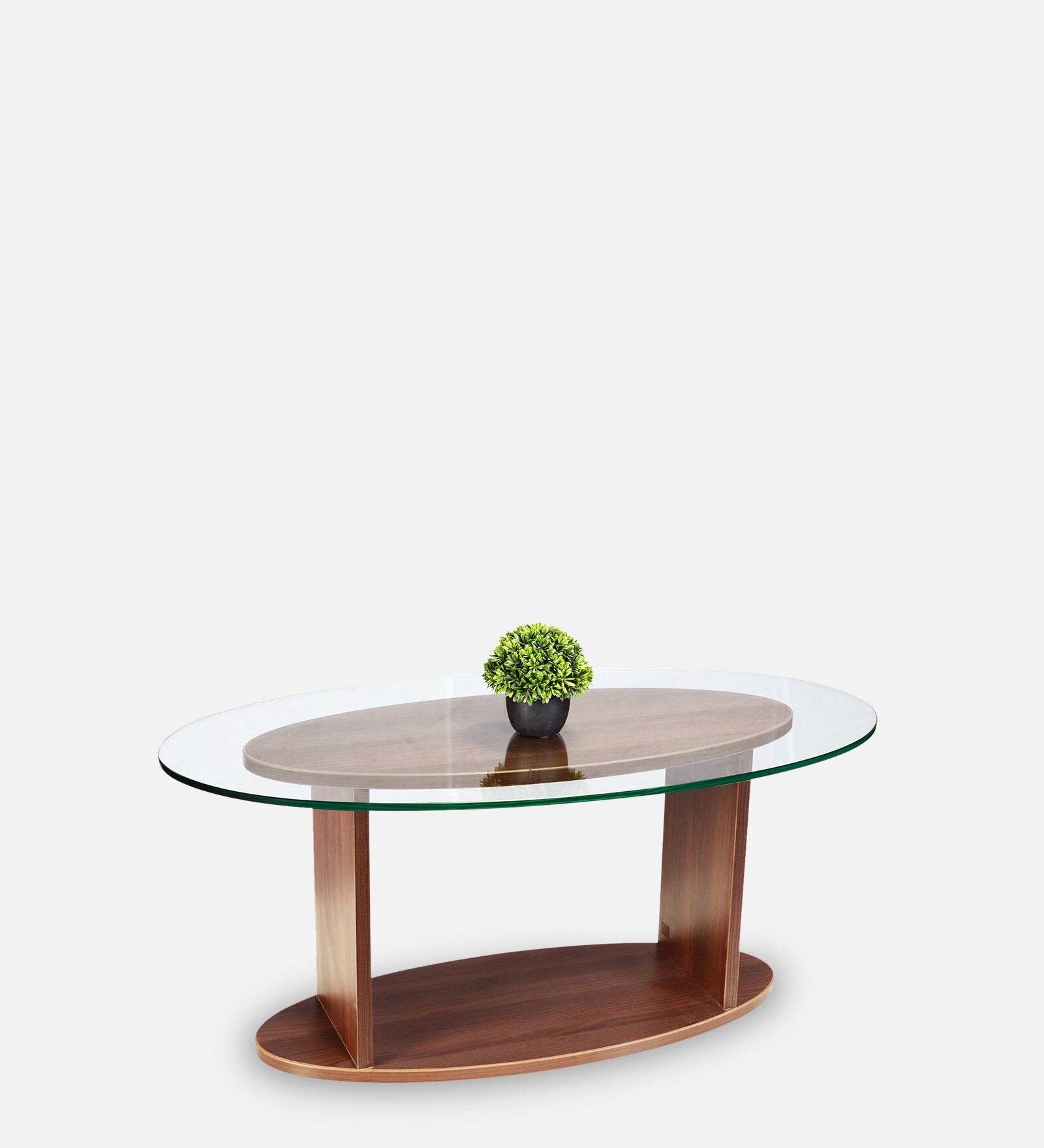 Buy Oval Shaped Glass Top Coffee Table in Walnut Finish by Addy Design ...