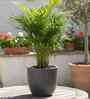 Grey Ovalo Stone 10 Inch Ribbed Planter Pot
