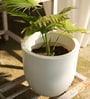 White Ovalo 10 Inch Ribbed Planter Pot