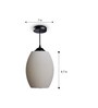 Ovo Oval hanging lights