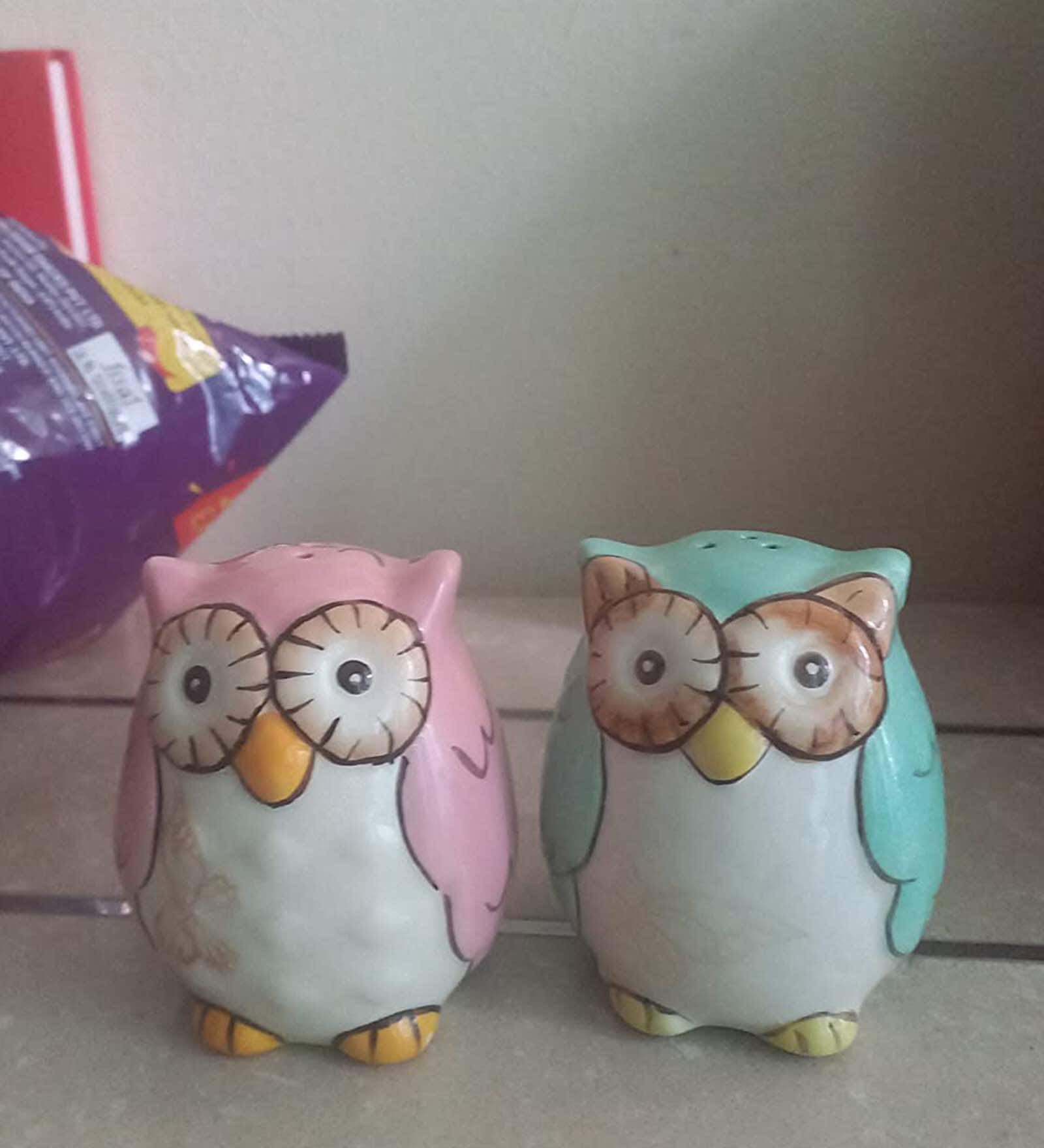 Owl Be There Blue & Pink Ceramic (Set of 2) Salt & Pepper Shaker