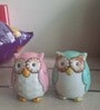 Owl Be There Blue & Pink Ceramic (Set of 2) Salt & Pepper Shaker