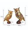 Owl Multicolour Metal (Set of 2) Figurine