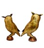 Owl Multicolour Metal (Set of 2) Figurine