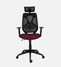 Oxford Classic Breathable Mesh Ergonomic Chair In Dual Colour