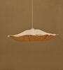 Oyster Mushroom (Medium) Stainless Steel & Crushed Lokta Pendant Hanging Light
