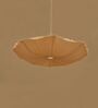 Oyster Mushroom (Small) Stainless Steel & Crushed Lokta Pendant Hanging Light