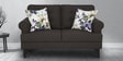 Paddington Fabric 2 Seater Sofa in Brown Colour
