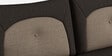 Pangram Fabric 2 Seater Sofa In Dark Brown Colour