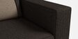 Pangram Fabric 2 Seater Sofa In Dark Brown Colour