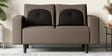 Pangram Fabric 2 Seater Sofa In Taupe Colour