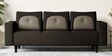 Pangram Fabric 3 Seater Sofa In Dark Brown Colour