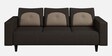 Pangram Fabric 3 Seater Sofa In Dark Brown Colour