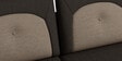 Pangram Fabric 3 Seater Sofa In Dark Brown Colour