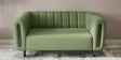 Paramount Fabric 2 Seater Sofa in Green Colour