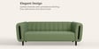 Paramount Fabric 3 Seater Sofa in Green Colour