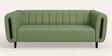 Paramount Fabric 3 Seater Sofa in Green Colour