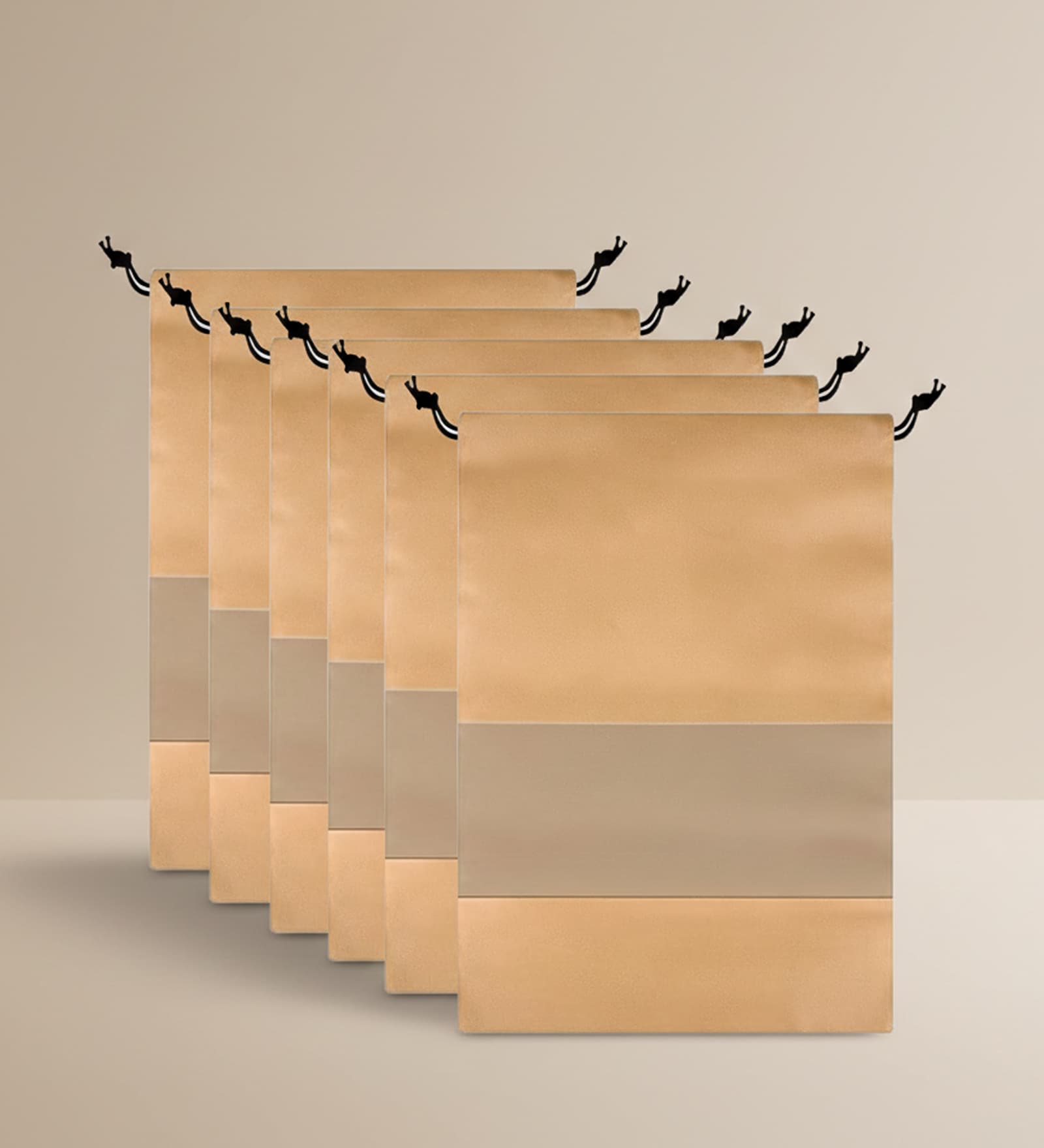 Pack Of 6 Brown Shoe Organizer Bag Covers