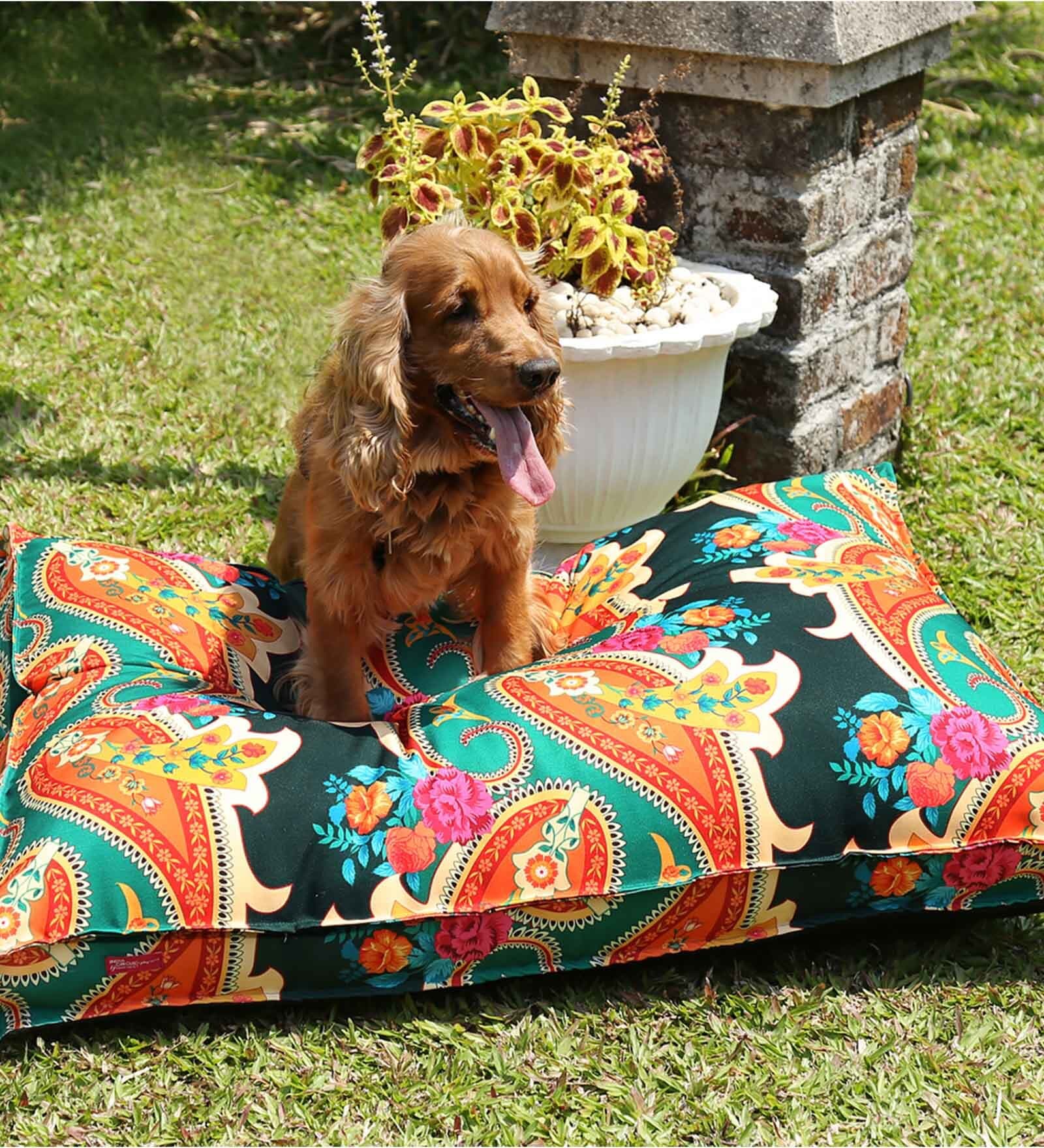 Paisley Flush MultiColour Fabric Dog Mat