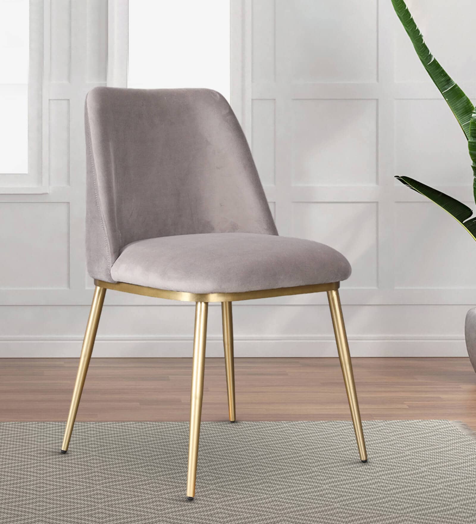 Palatine Velvet Dining Chair In Grey Colour