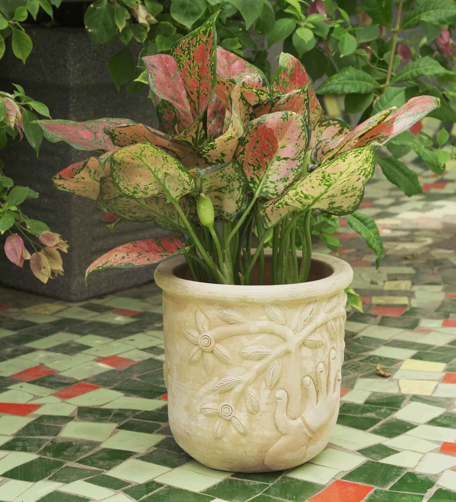Beige Palm Haven Clay Planter