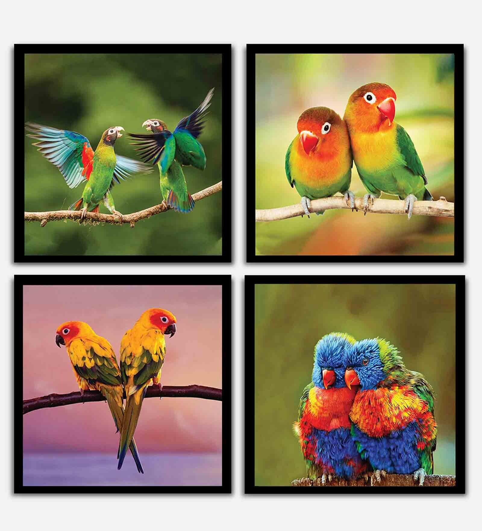 Buy Parrot Green Engineered Wood Framed Wildlife Art Print Set of 4 at
