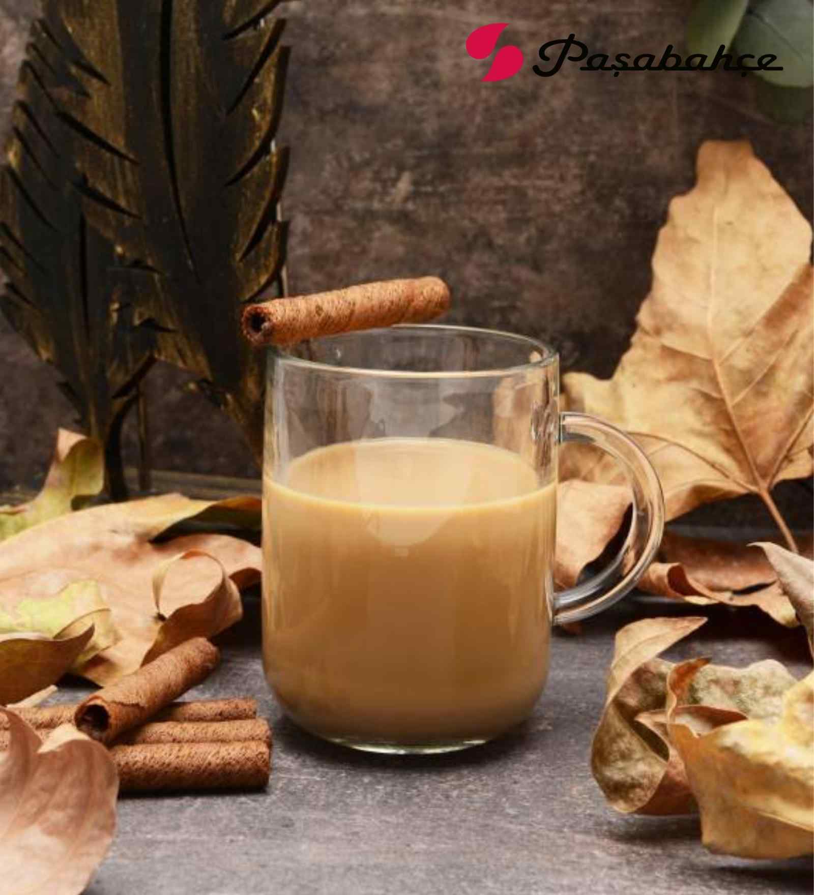 Pasabahce Iconic Mug 330Ml Set Of 2 (55753)