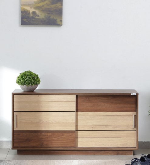 Paduka-1 Shoe Rack in Columbian Walnut & Brentwood Teak Finish With Sliding Door