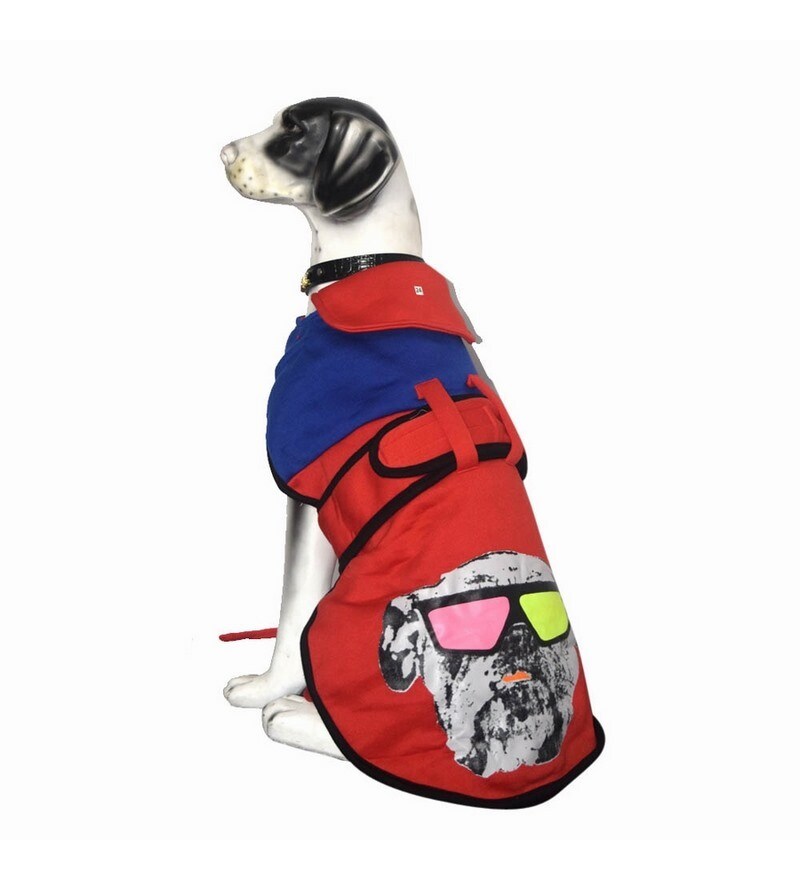 What Size Is My Dog In Clothes